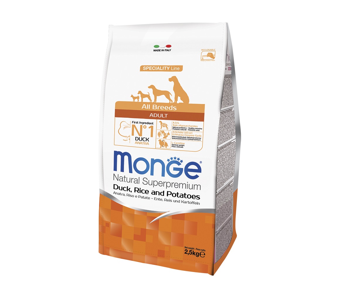 מונג' - Monge