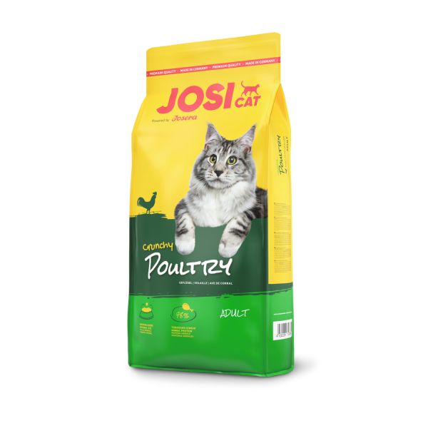 ג'וסי קאט - Josi